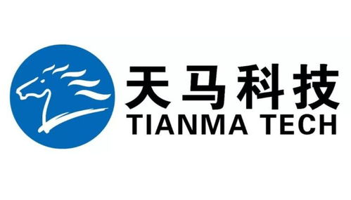 福建天馬科技集團